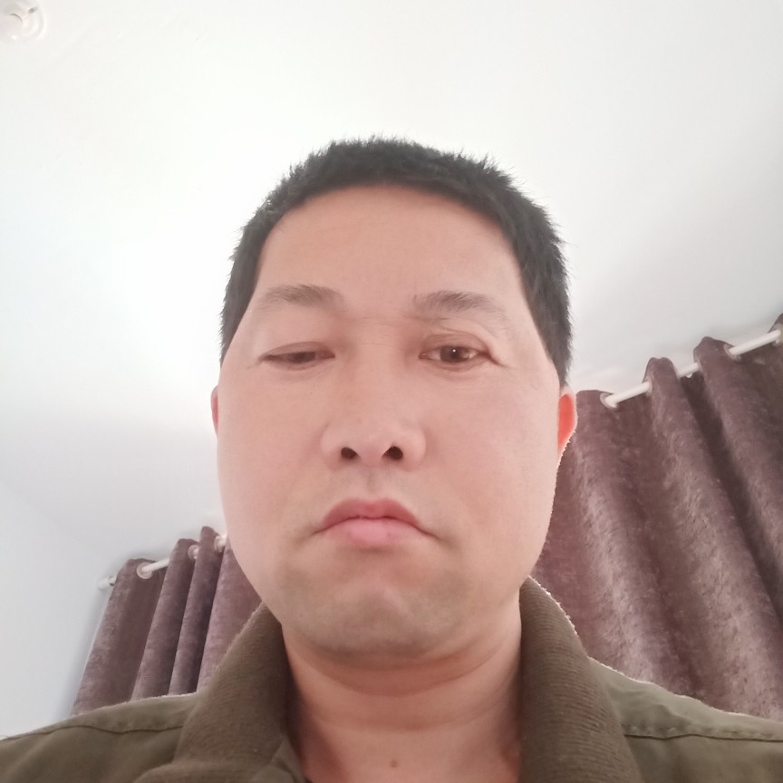 沉静似金的照片