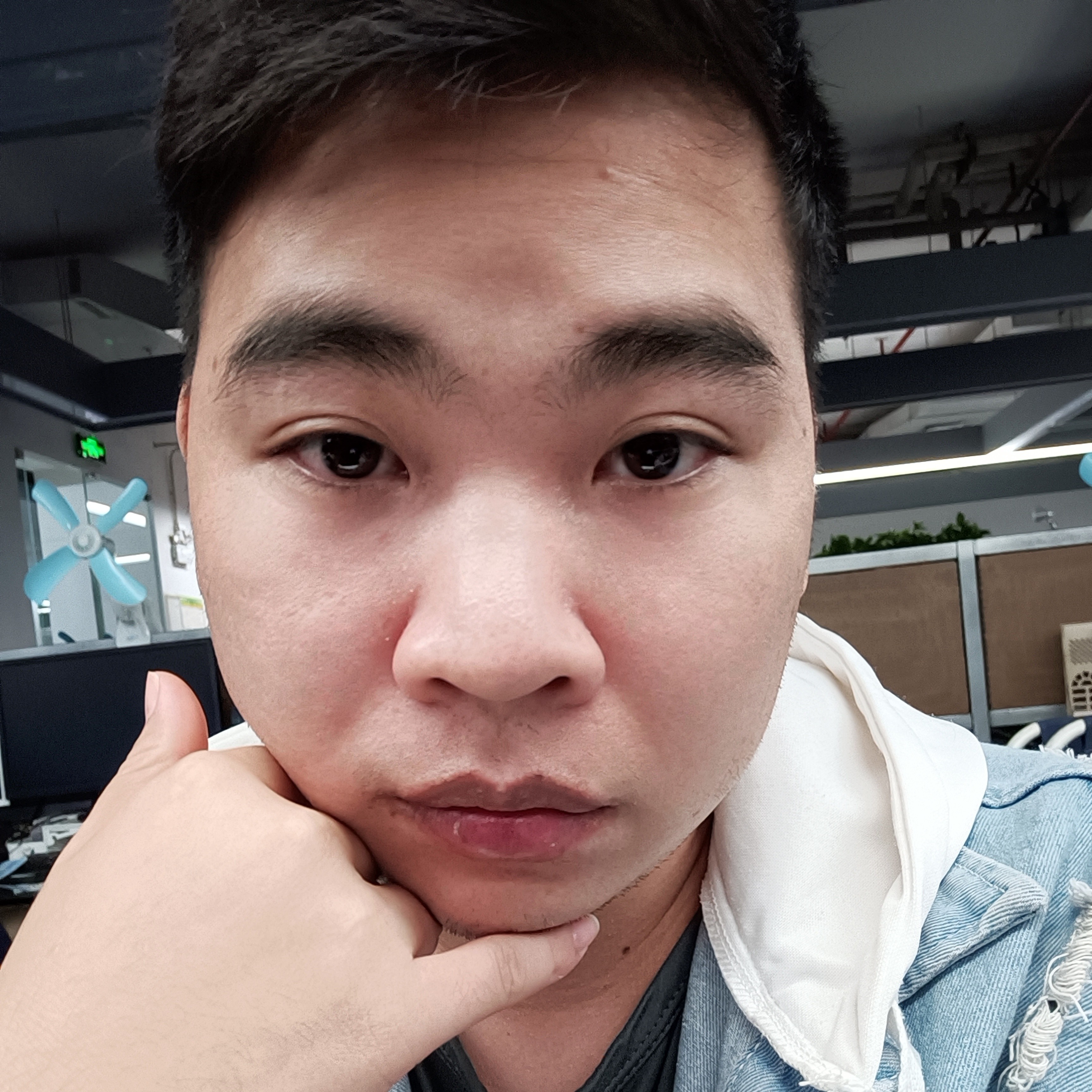 魁梧拿小懒虫的照片