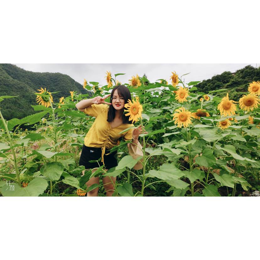 会员471844211的照片