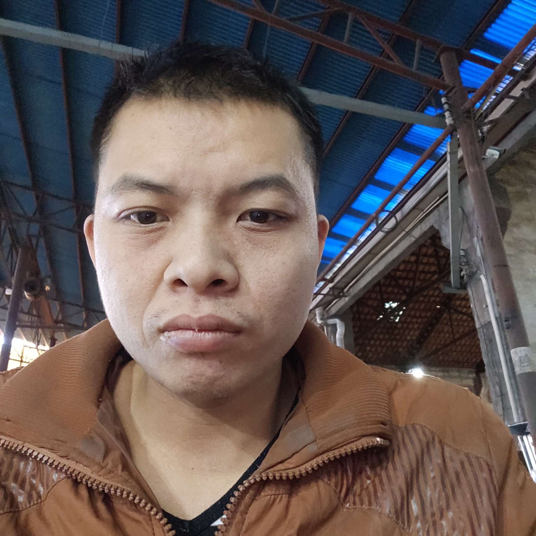 悲凉回首暖阳的照片