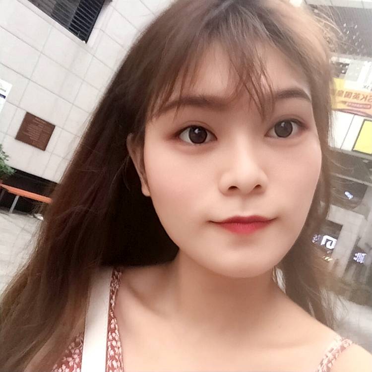 蔷薇花开了的照片