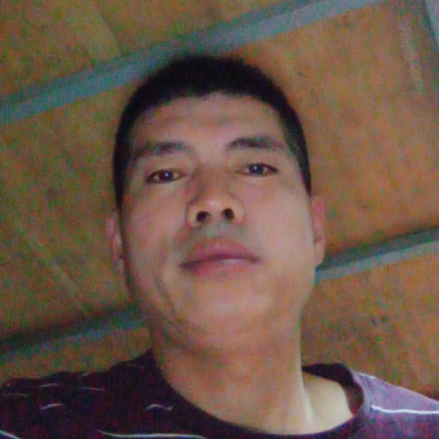 诚心倾心海燕的照片