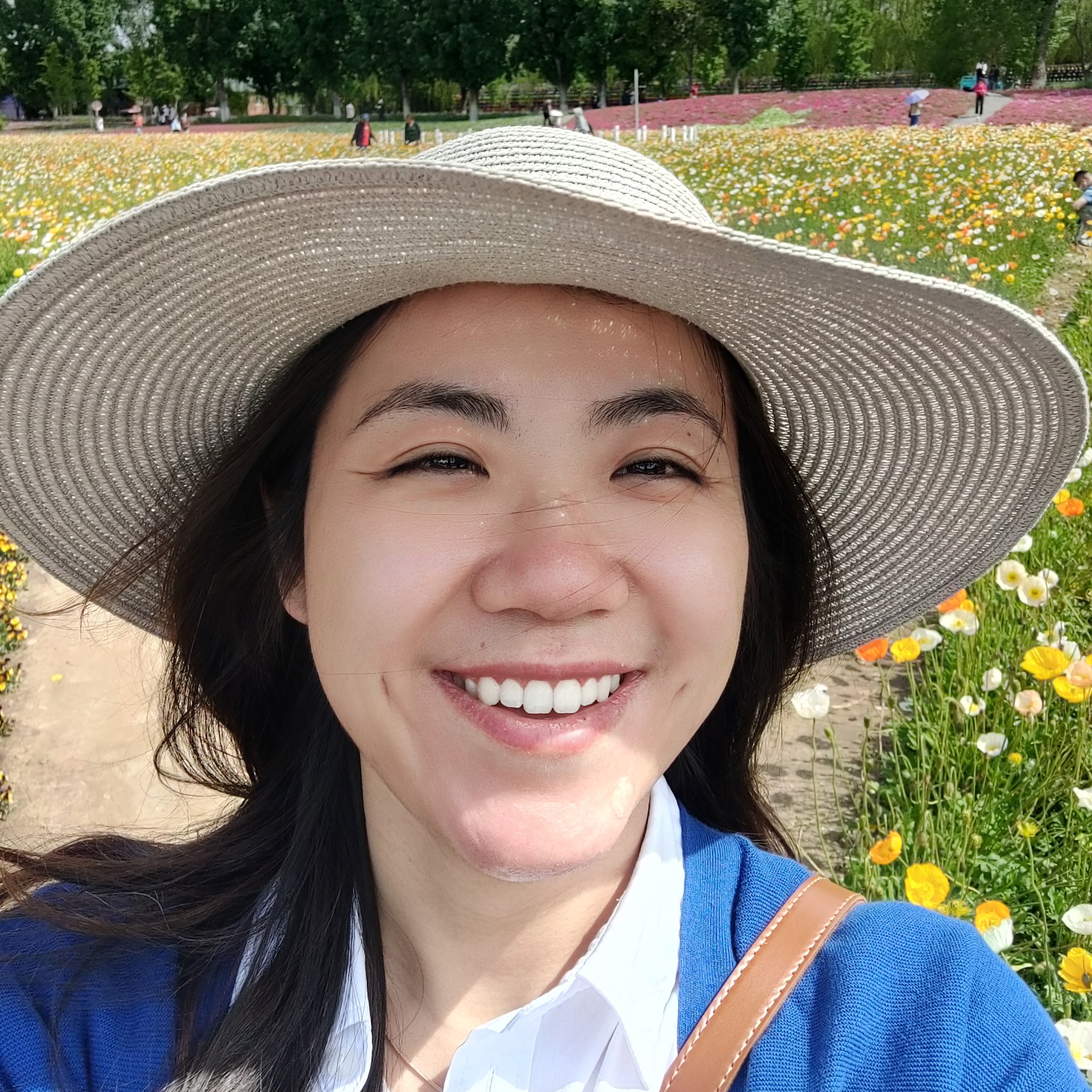 吐司演变自然的照片