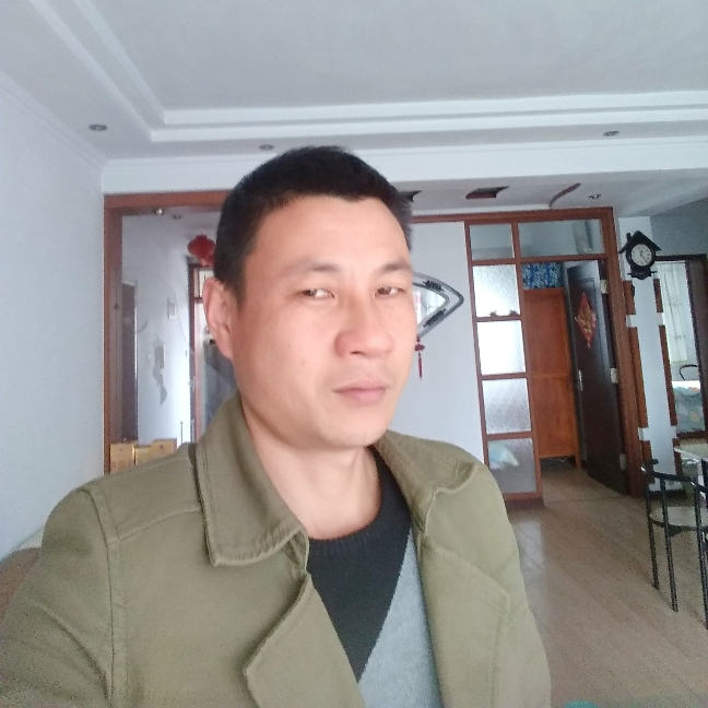 蜻蜓停止单身的照片
