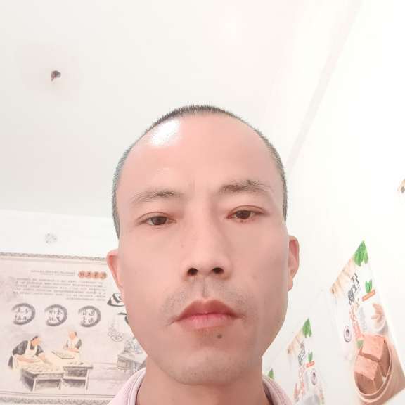 蜜蜂扯自然的照片