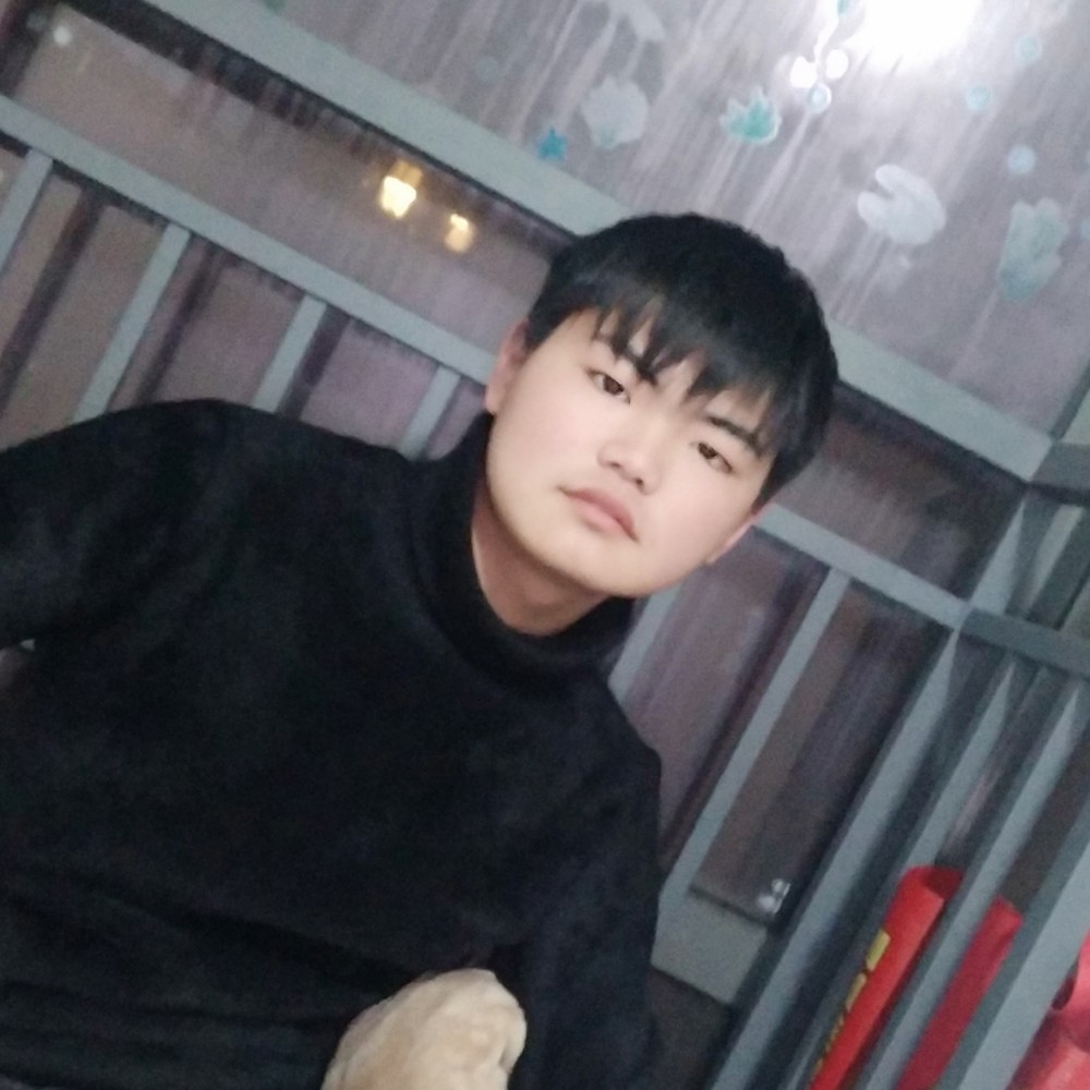 猎豹S的照片