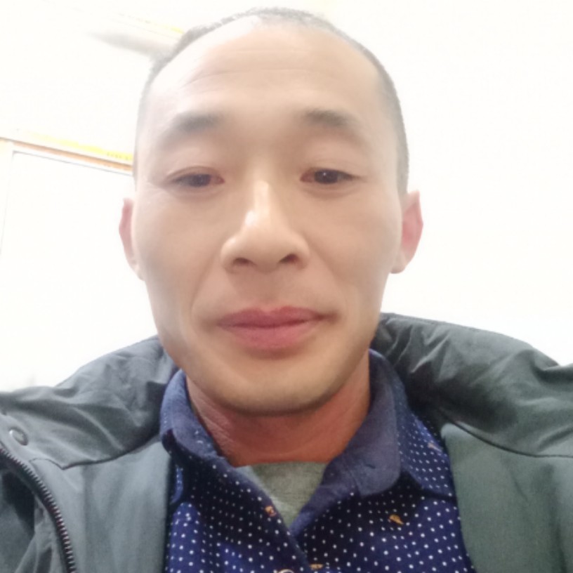 蜗牛停止甜蜜的照片