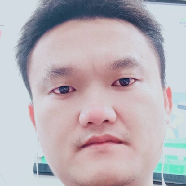 老虎迎華麗的照片