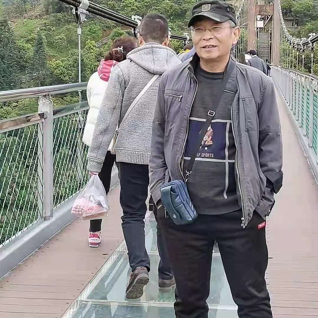 奔放的骏马的照片