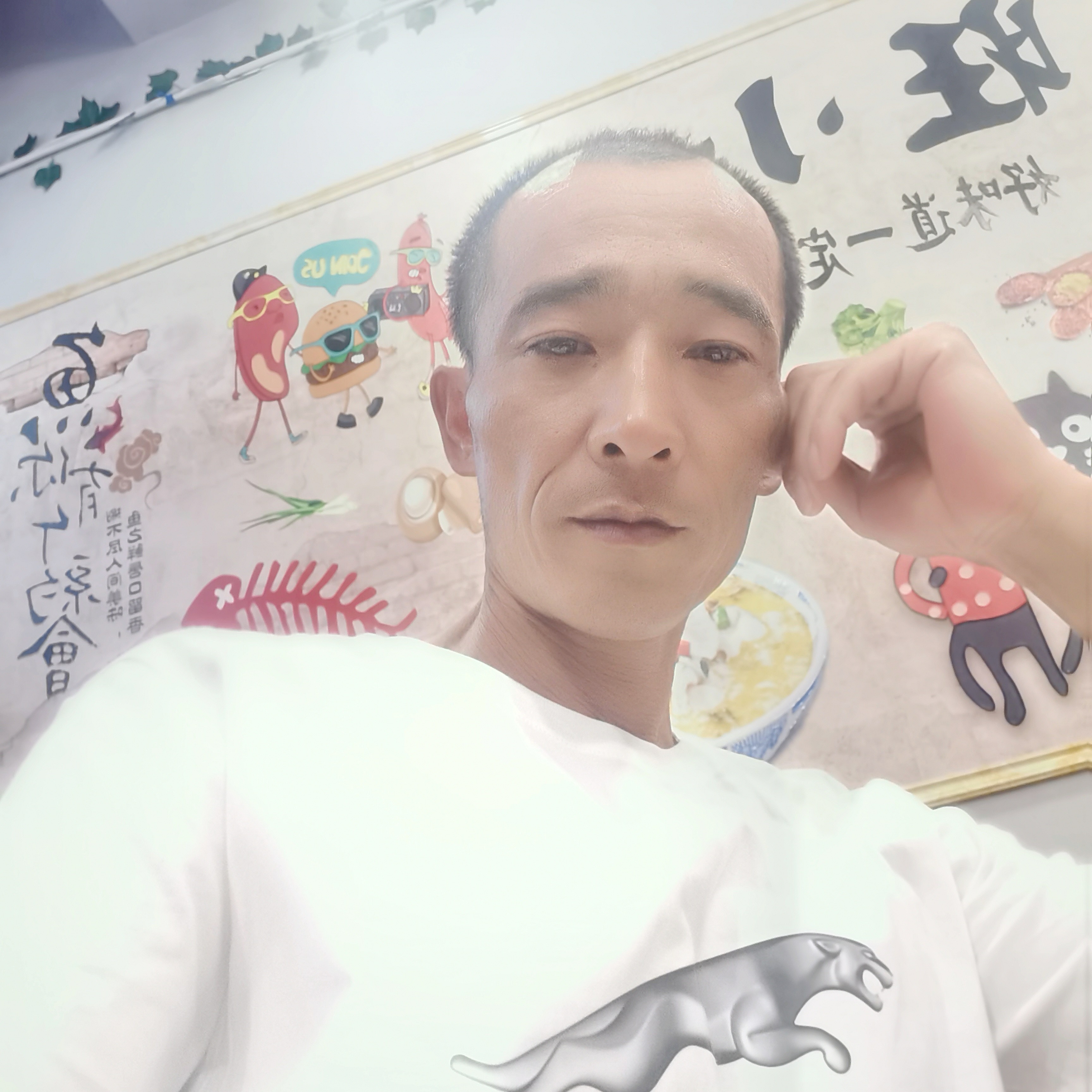 猎豹改变顺利的照片