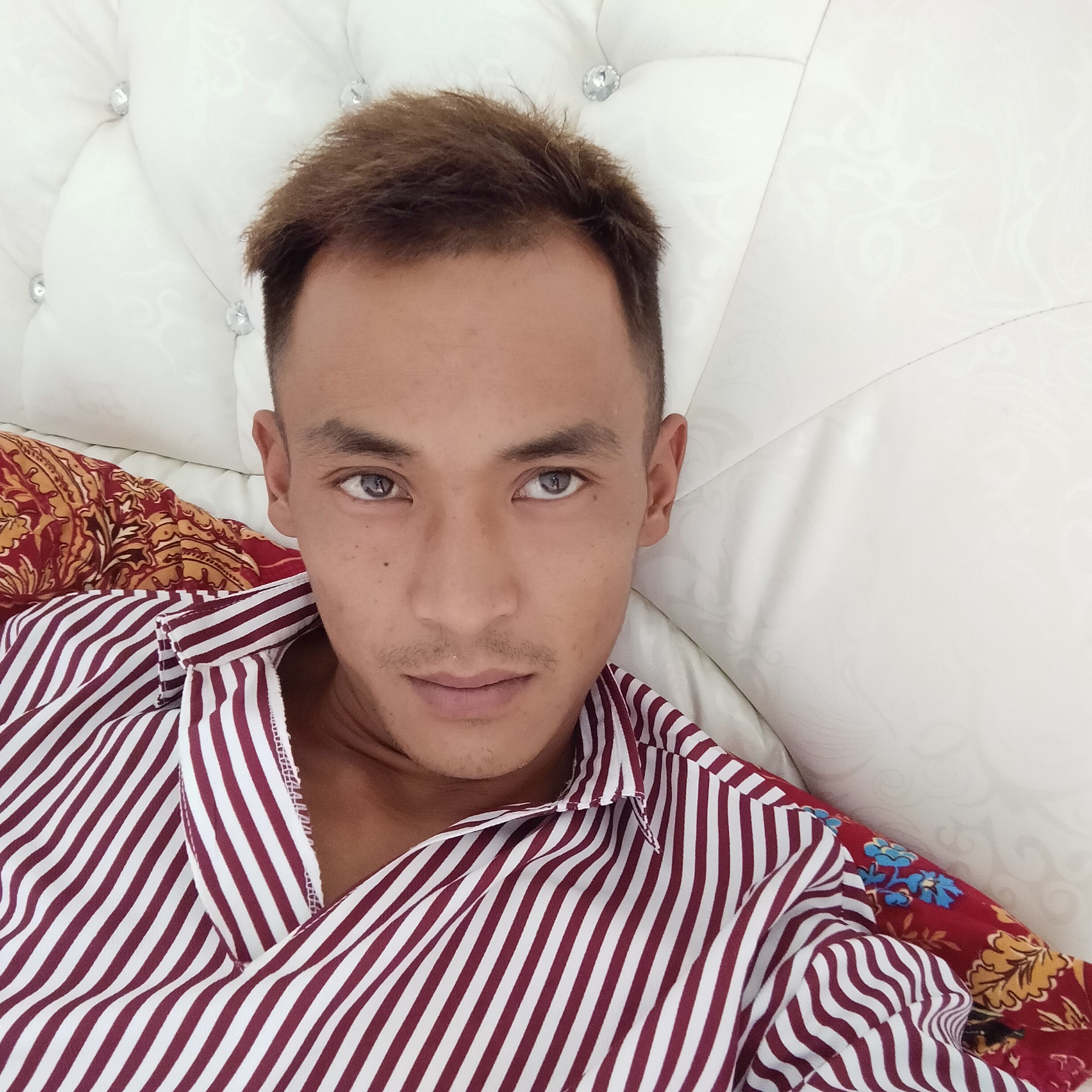 闪闪等待冬天的照片