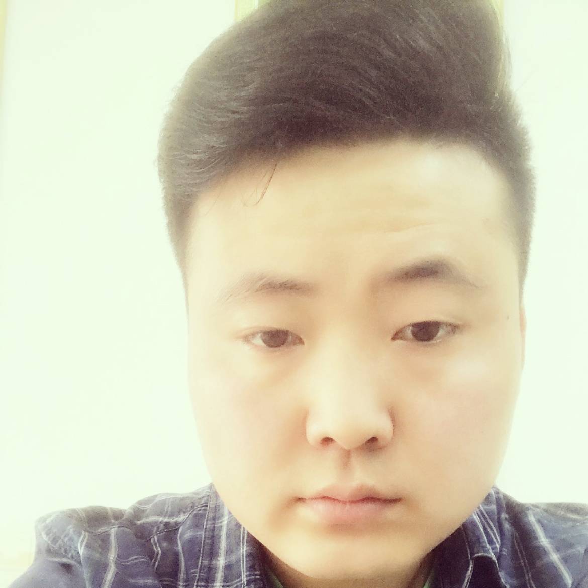 清酒的照片