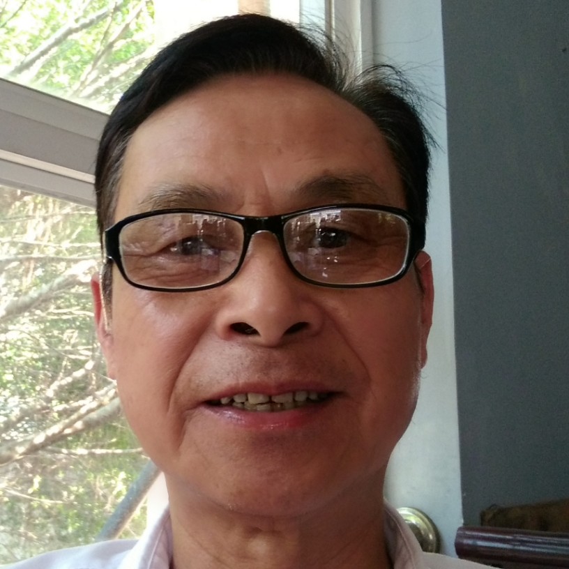 平淡小鸽子的照片