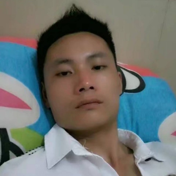 落寂鸭子的照片