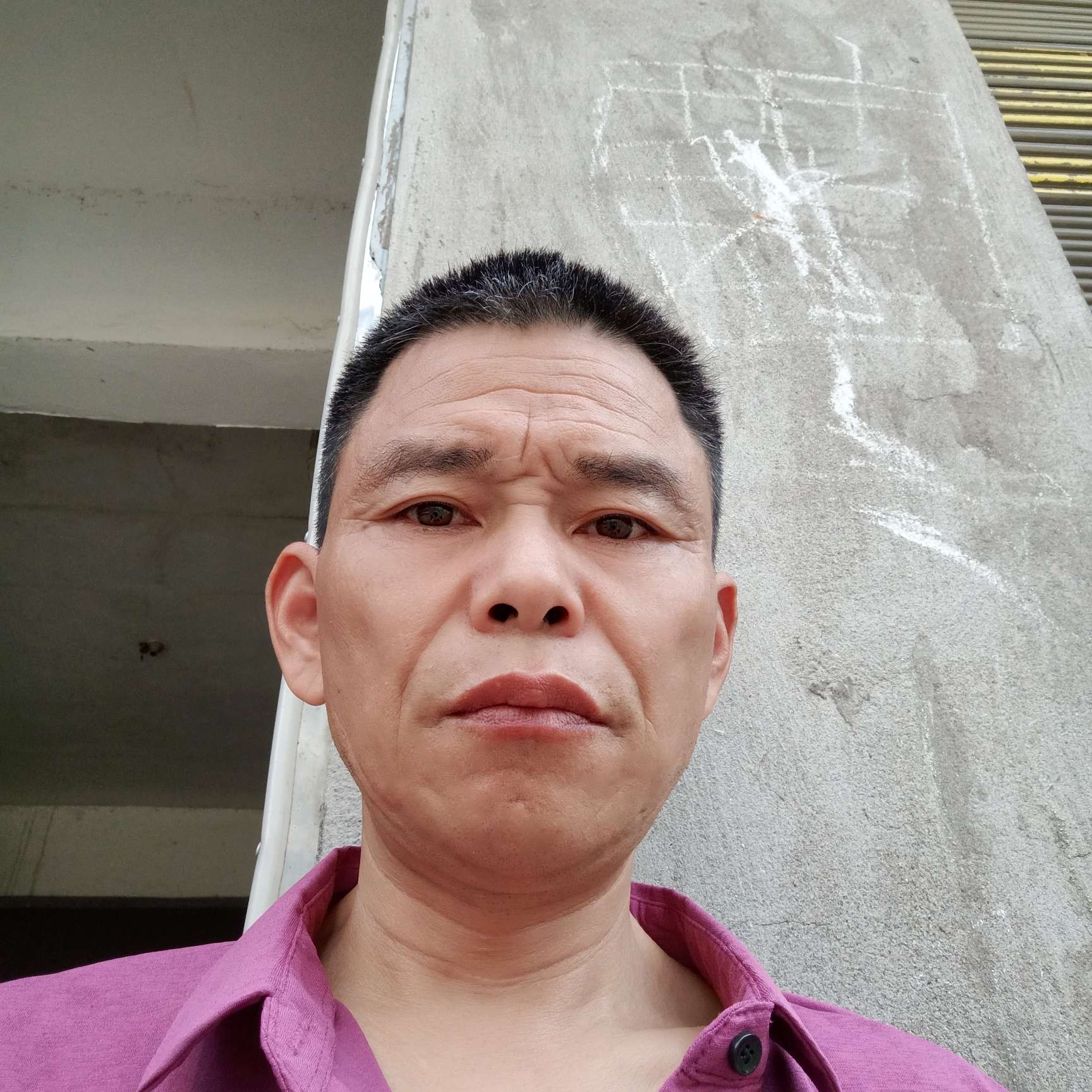 失望的牛的照片
