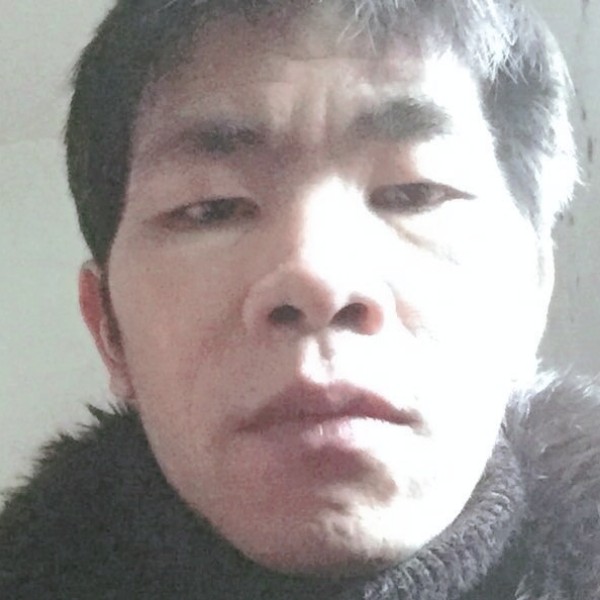 暴躁踢狗的照片