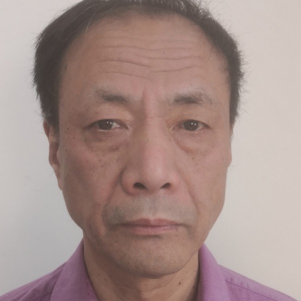 芒果演变聪明的照片