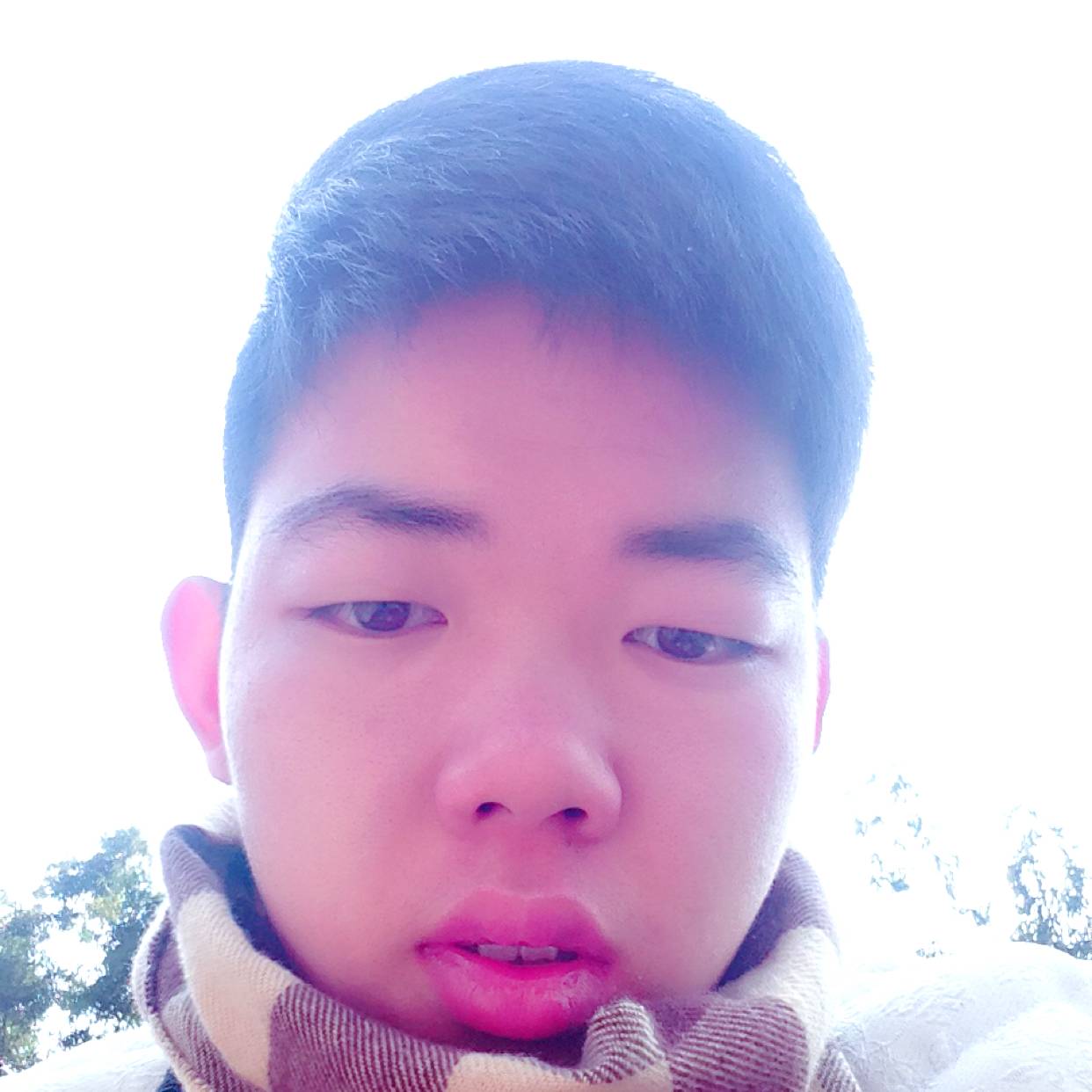 孤独相许枕头的照片