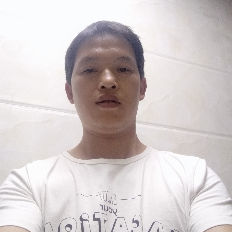 迷离爱恋大树的照片