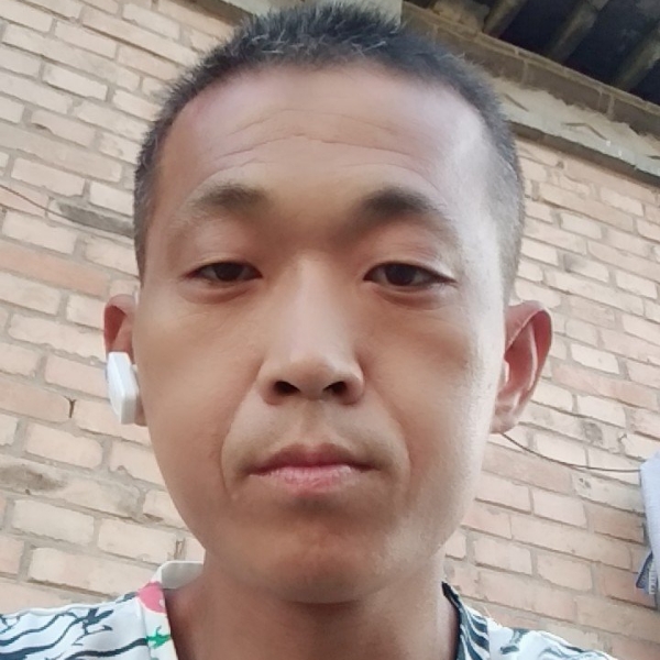 一切从头再来可以的照片