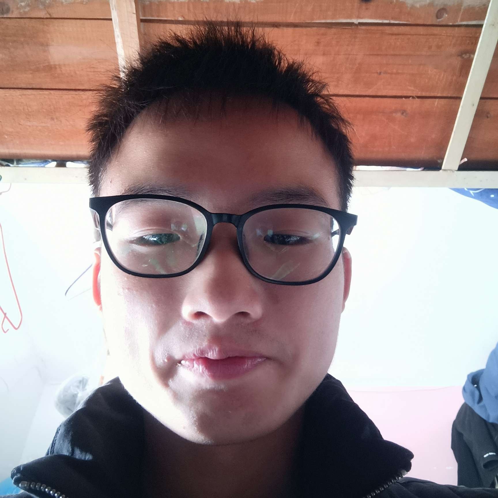 乌龟爱恋曾经的照片