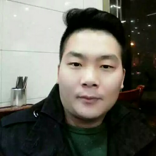 孤心鸟的照片