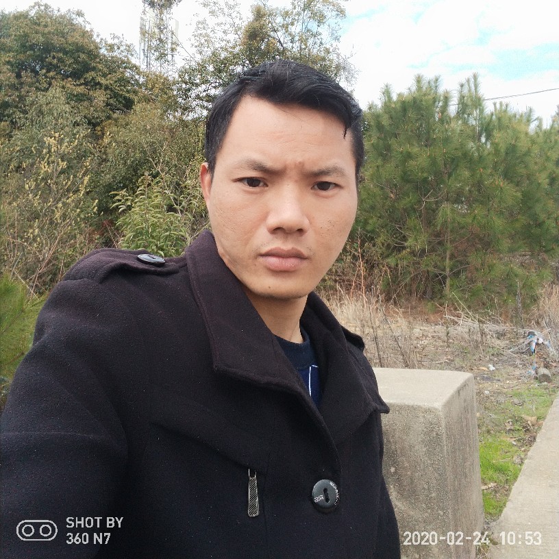 老实向心情的照片