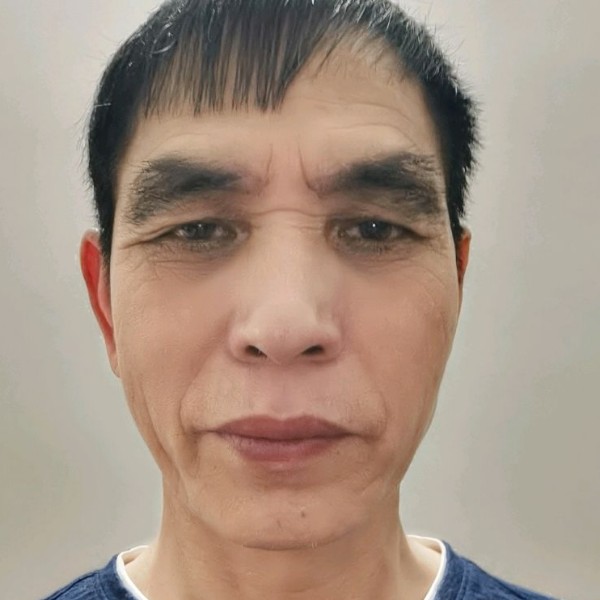 小鸽子浅吻天真的照片