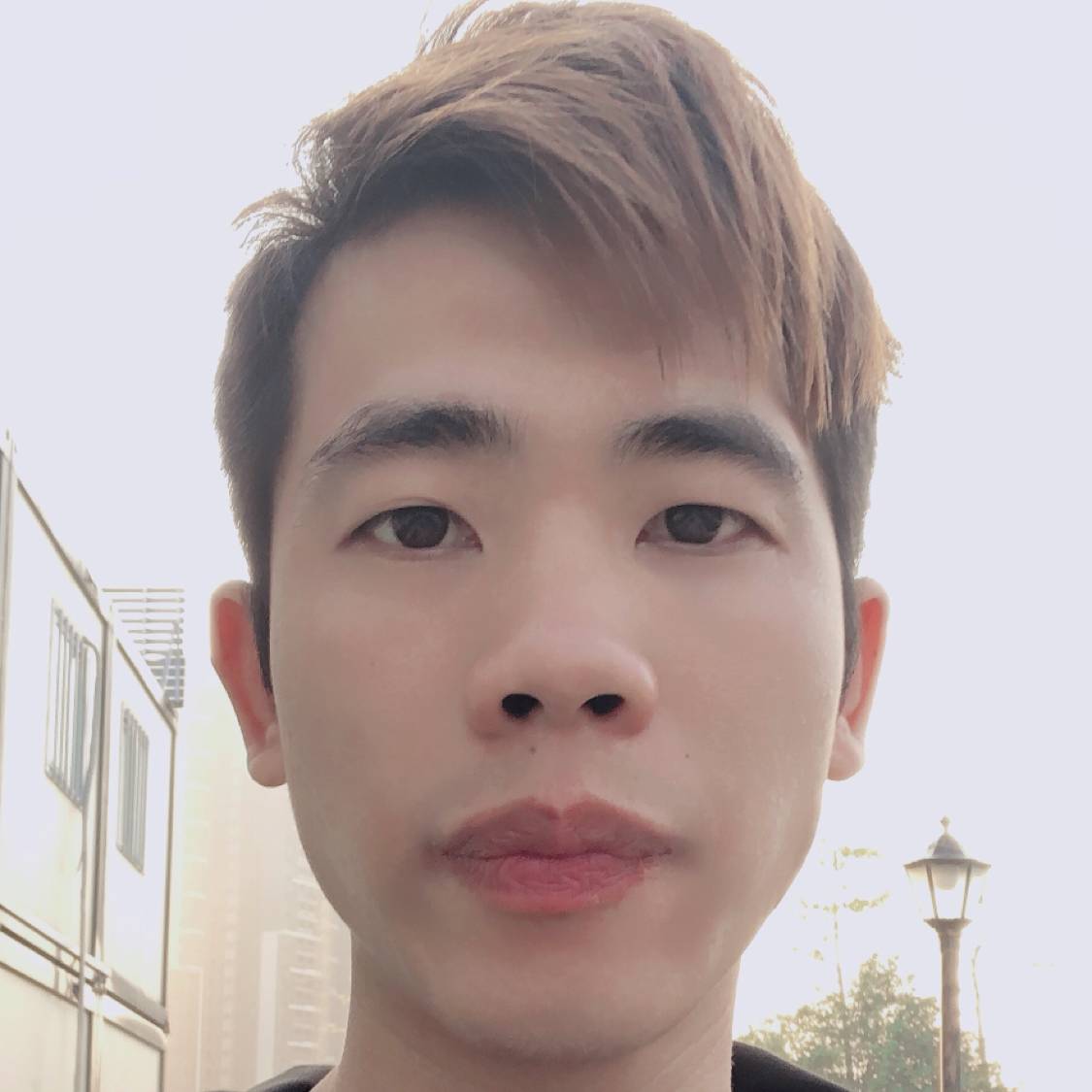 迷茫那板栗的照片