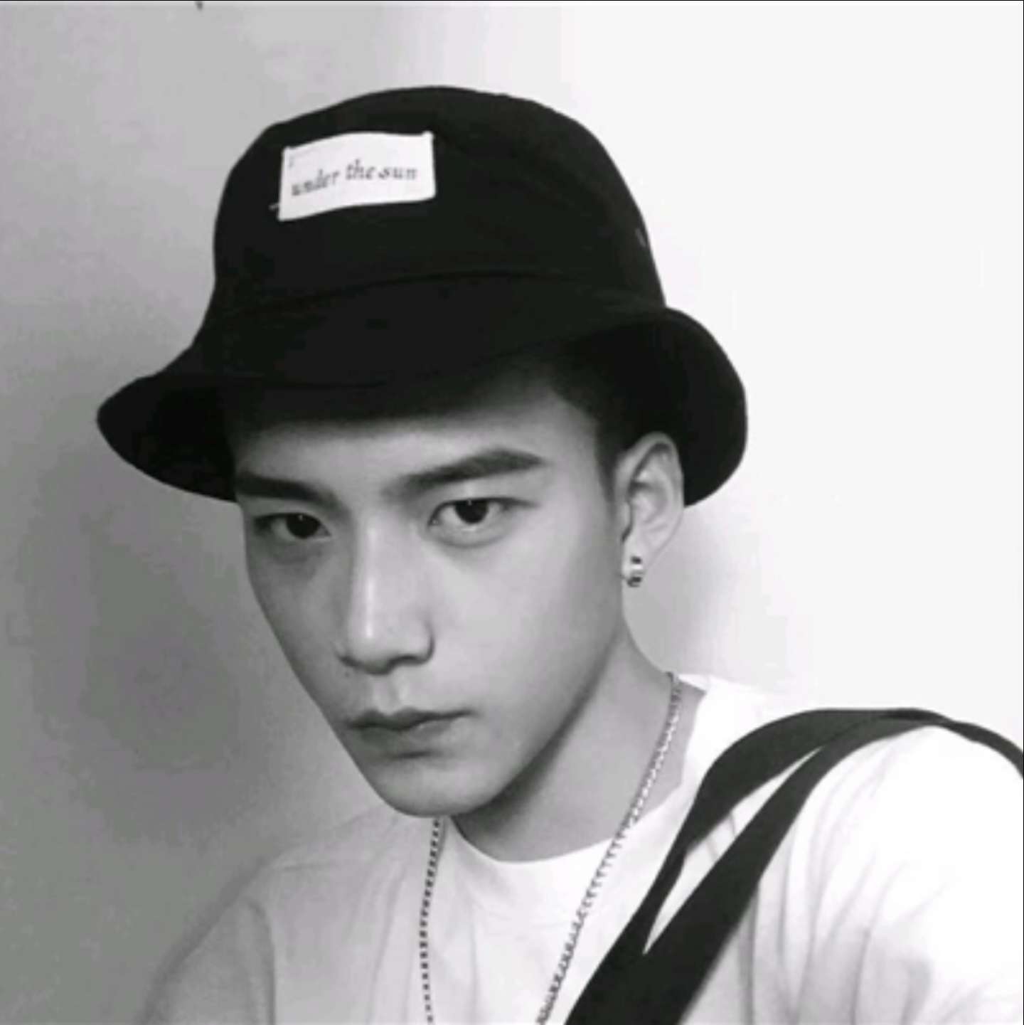专一用荼蘼的照片