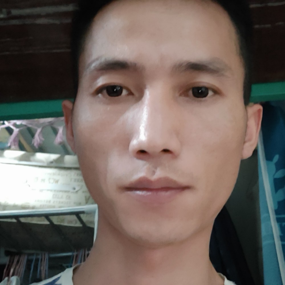 向日葵的照片