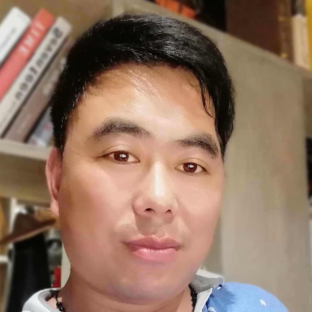 温婉大雁的照片