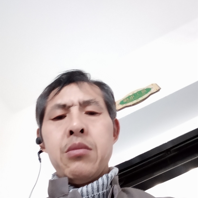 鸟大的照片