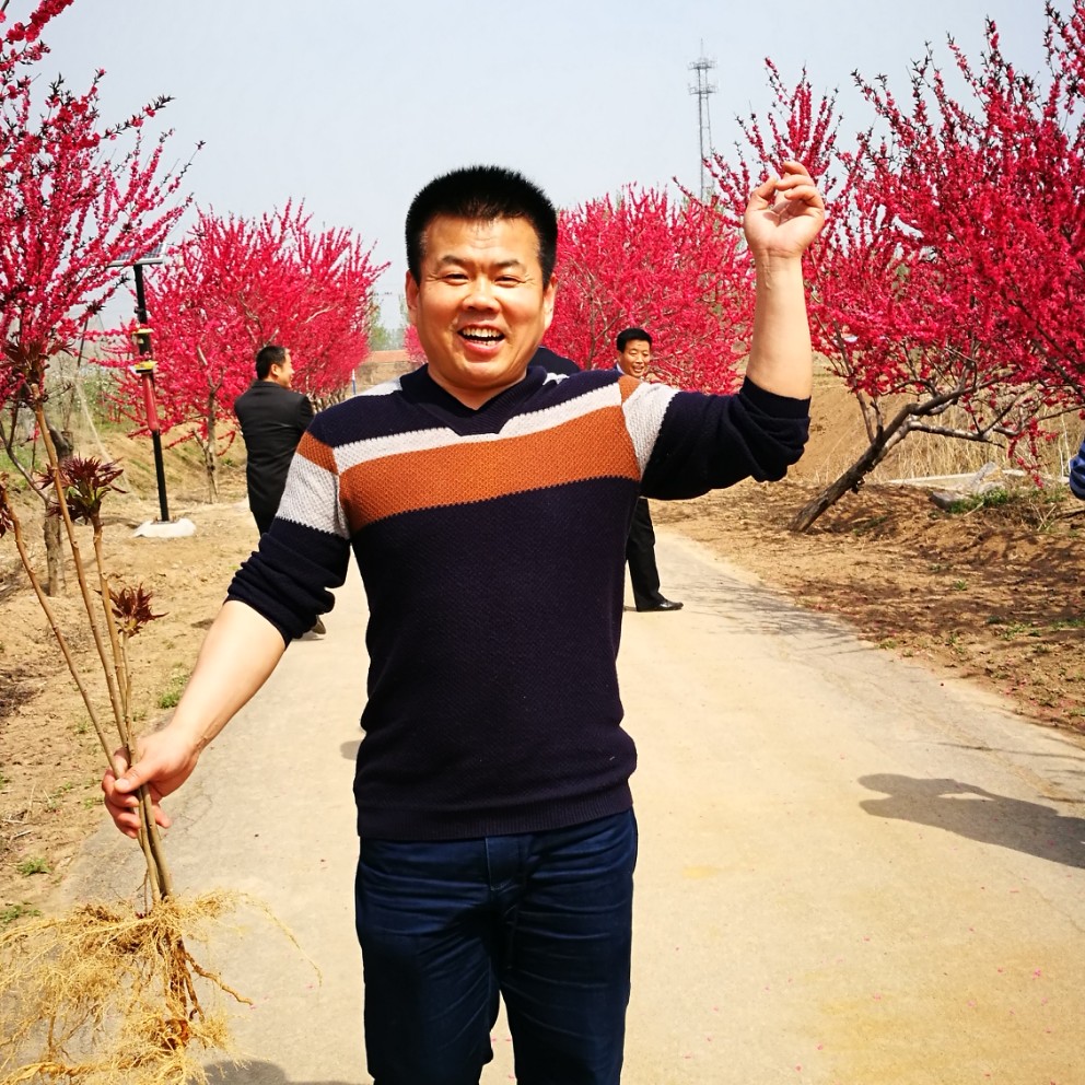 安想有个家的照片