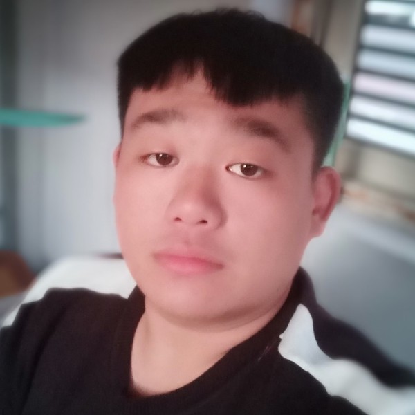 孤独的烈马的照片