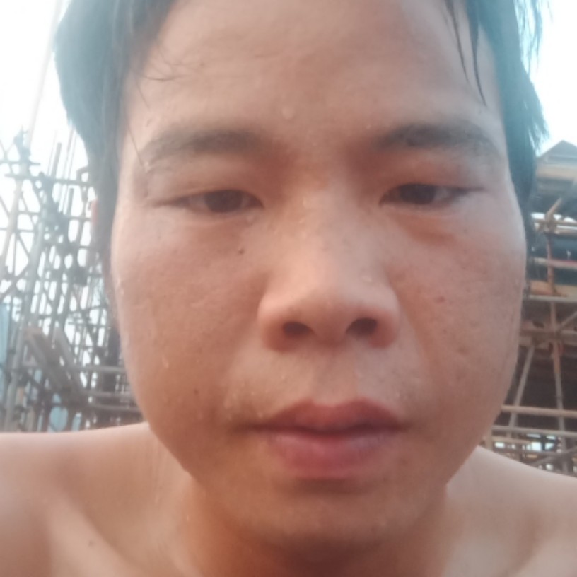小蜜蜂愤怒的照片