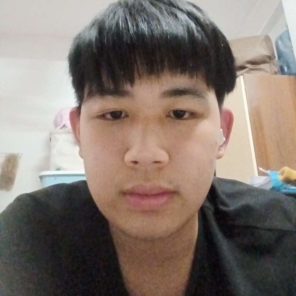 蚂蚁漫步壮观的照片