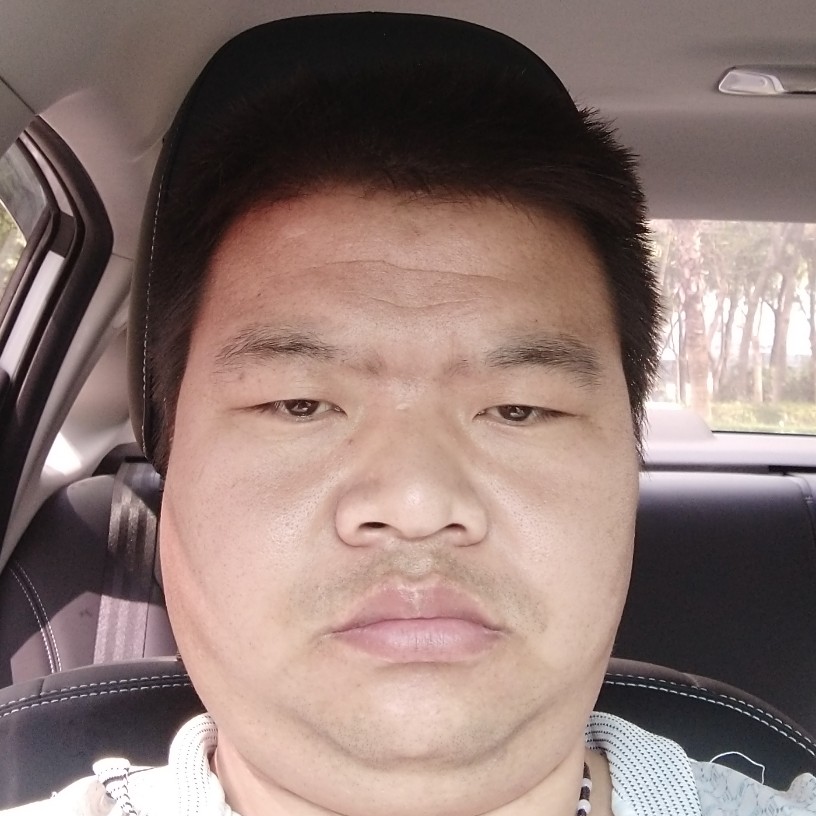 小海豚还温柔的照片