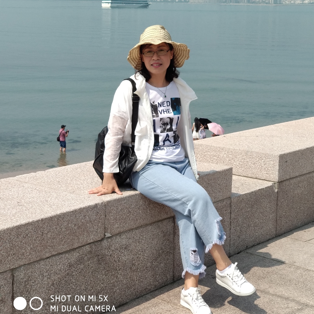 燕子呢喃的照片