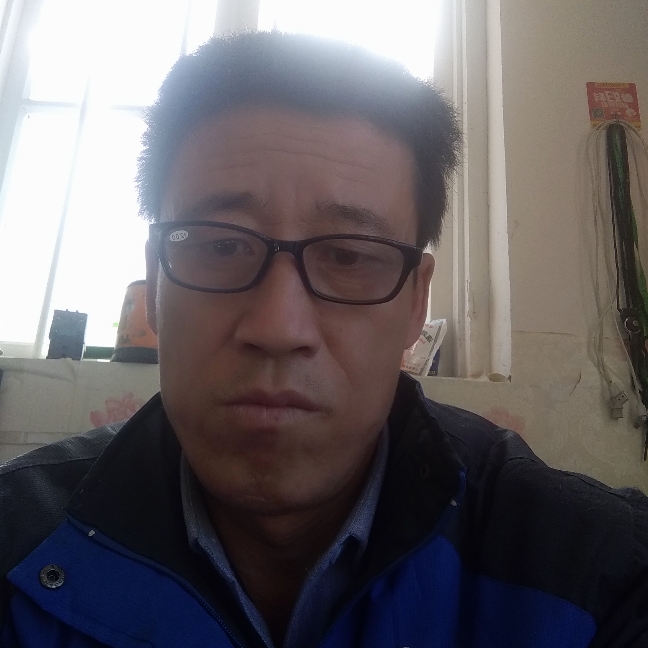 孤独野狼王的照片