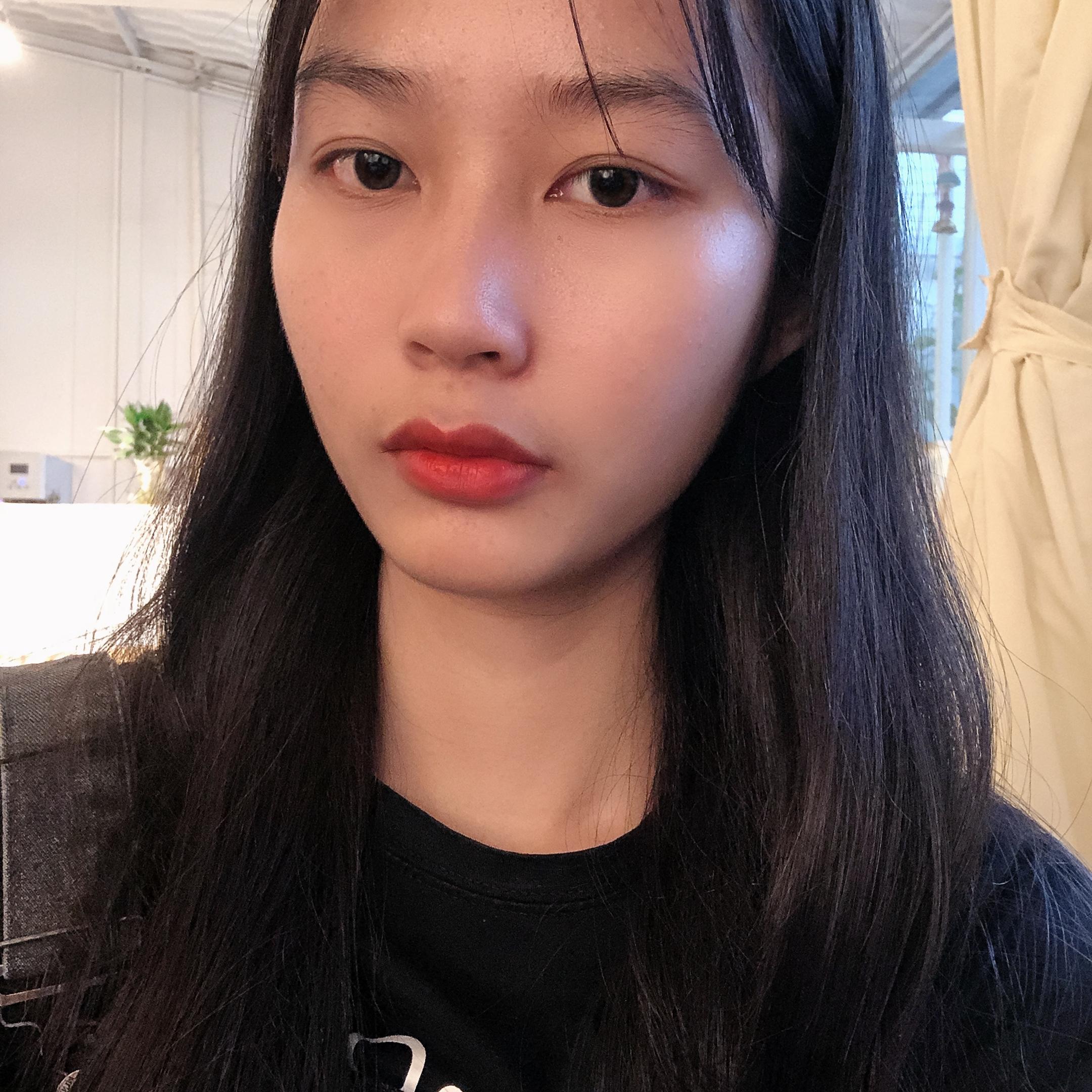 安静吃醋玫瑰的照片