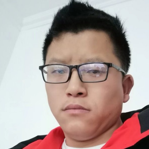 zs踏实小鸽子的照片
