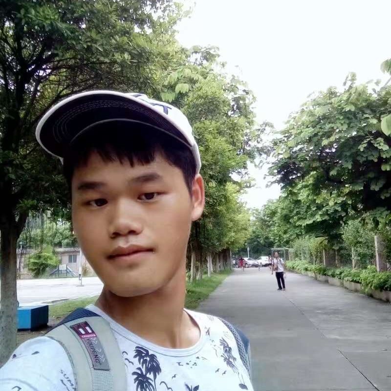 豆芽蹁跹鲤鱼的照片