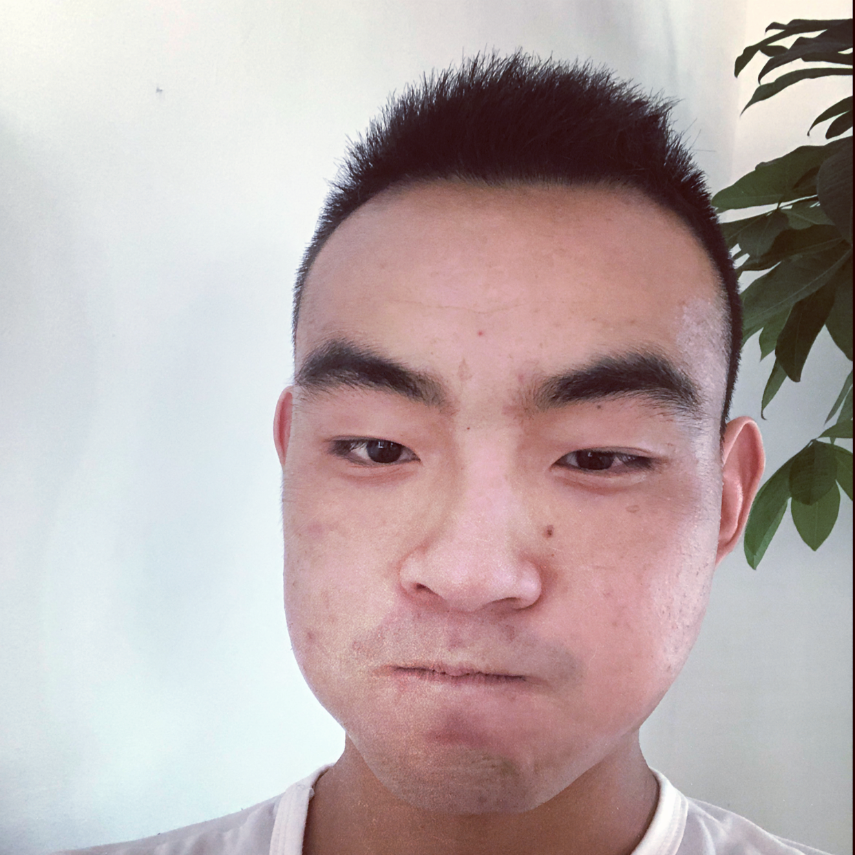 无     伤的照片