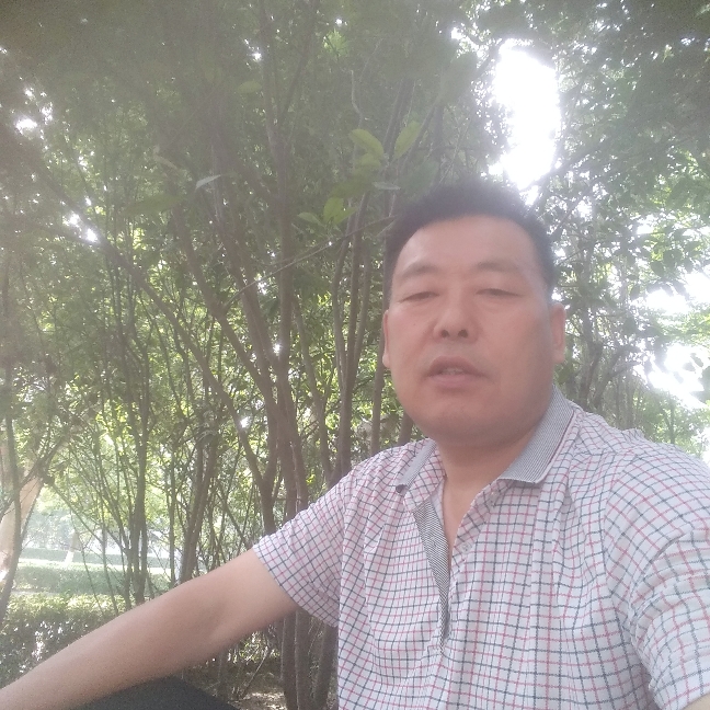 腼腆花瓣的照片