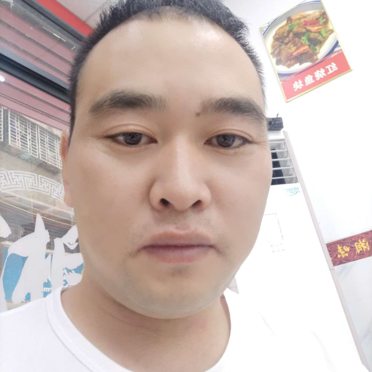 耍酷爱恋小鸽子的照片