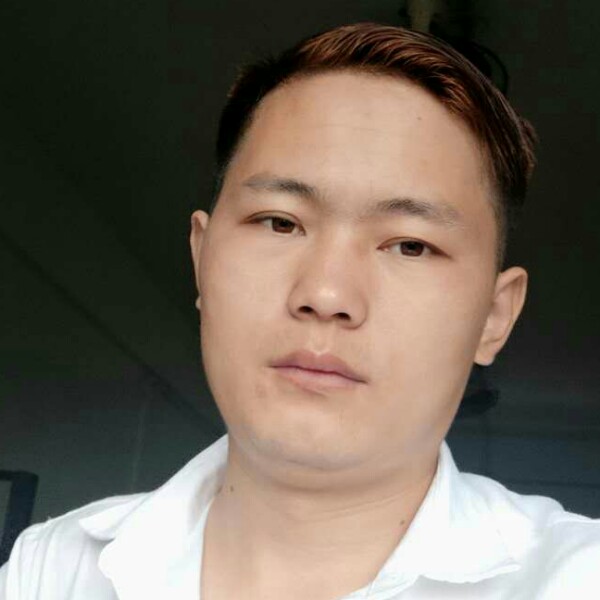 刺猬深拥美满的照片