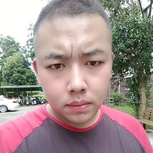 誓曲的照片