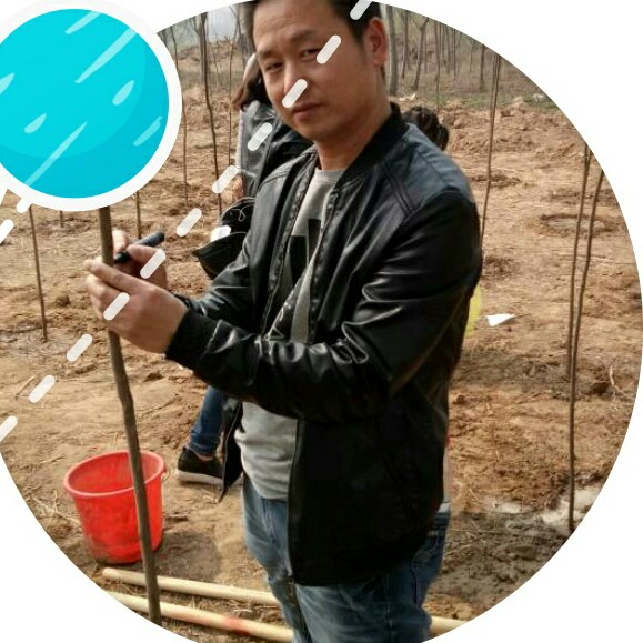 緣緣緣緣的照片