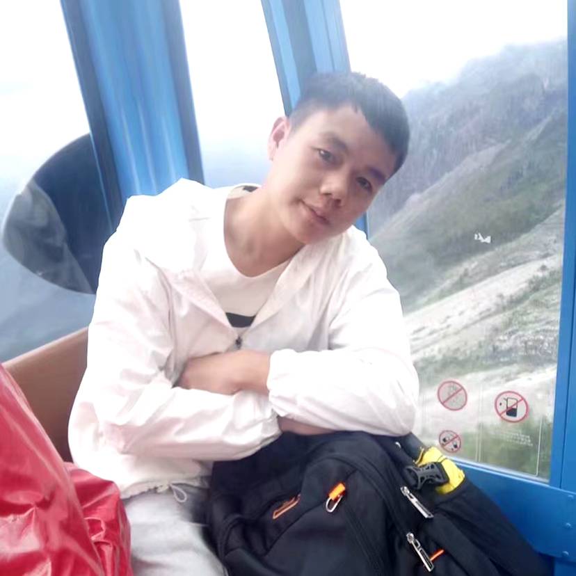 长颈鹿说天真的照片